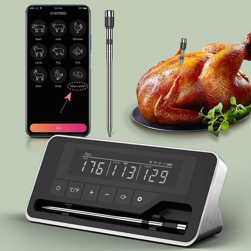 Termômetro de carne sonda sem  - Digital Thermometer Probe avaliação e preço
