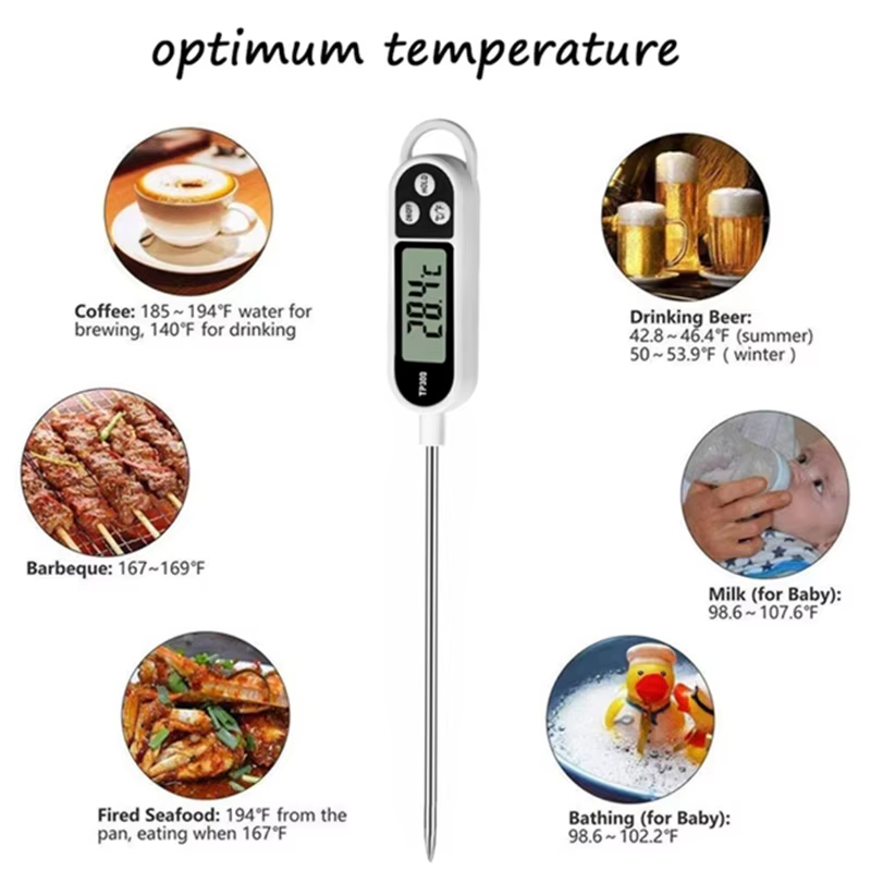 Termômetro Digital Tipo Sonda  - Digital Thermometer Probe avaliação e preço